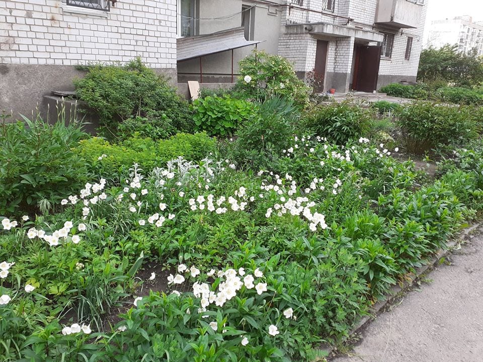 В Днепре родители строят сказочный городок из поддонов. Новости Днепра