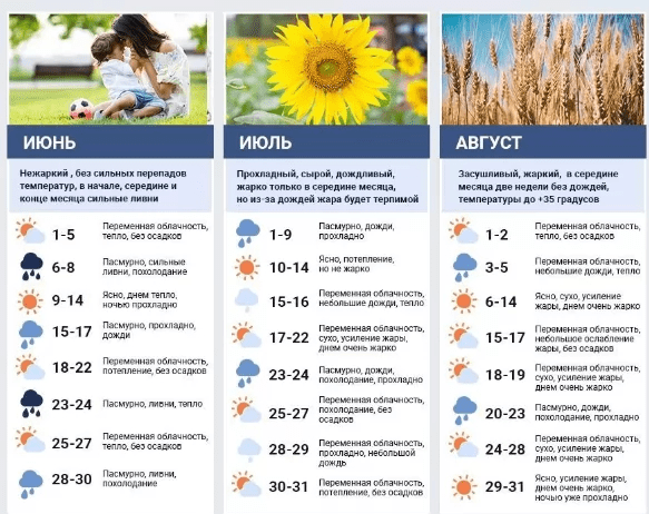 Синоптики прогнозируют экстремально жаркое лето