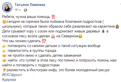 В Днепре подростки уничтожают сосновый лес. Новости Днепра