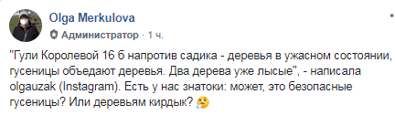 На Гули Королевой нашествие зеленых монстров. Новости Днепра