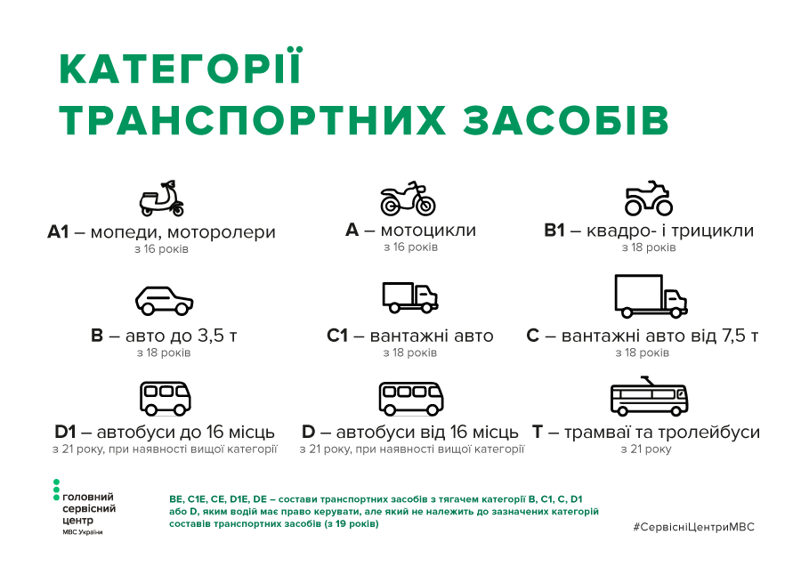 Как получить водительские права: алгоритм действий