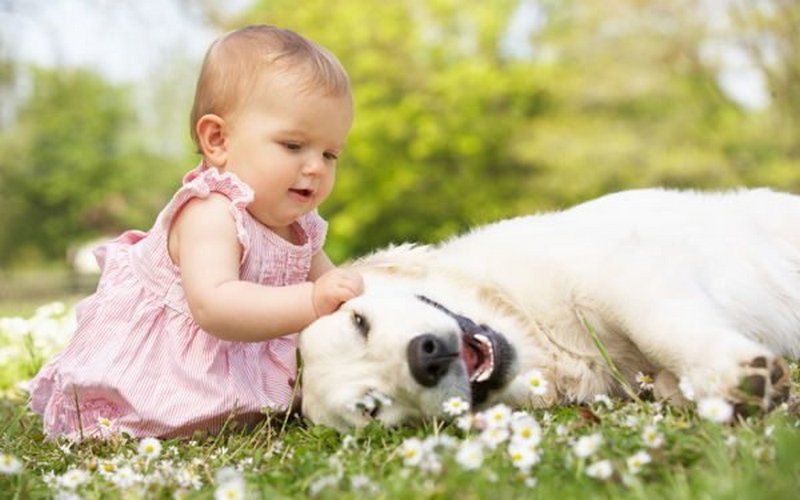 ТОП-5 пород собак, которые подружатся с детьми