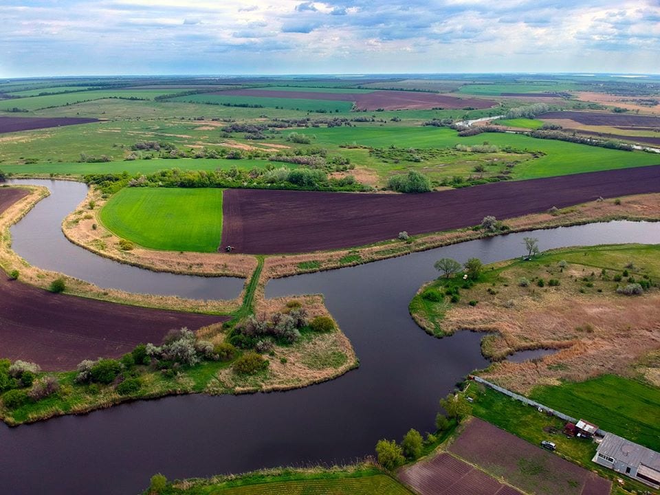 Сура фото