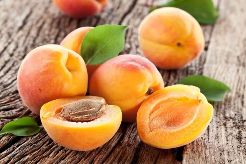 Ядовитая косточка: чем могут быть опасны абрикосы