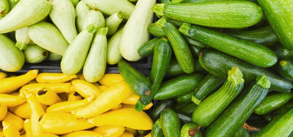 Кому нельзя есть кабачки: противопоказания любимого летнего овоща