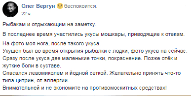 Под Днепром людей атакует страшная мошкара. Новости Днепра