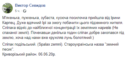 Под Днепром обнаружили "земного песика". Новости Днепра