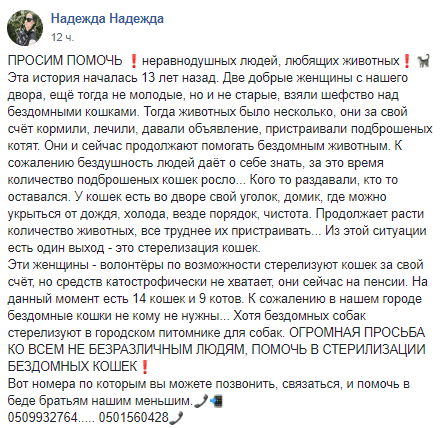 Под Днепром жители просят помочь с бездомными животными. Новости Днепра