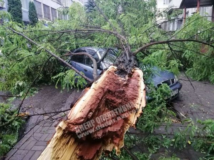 В центре Днепра акация упала на автомобили