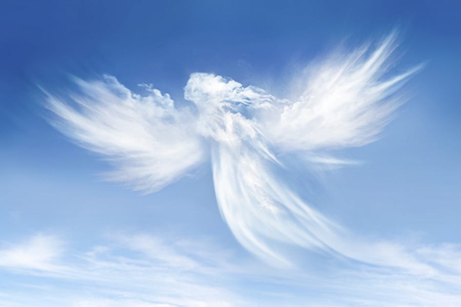 Ангелы во плоти: самые милые знаки Зодиака