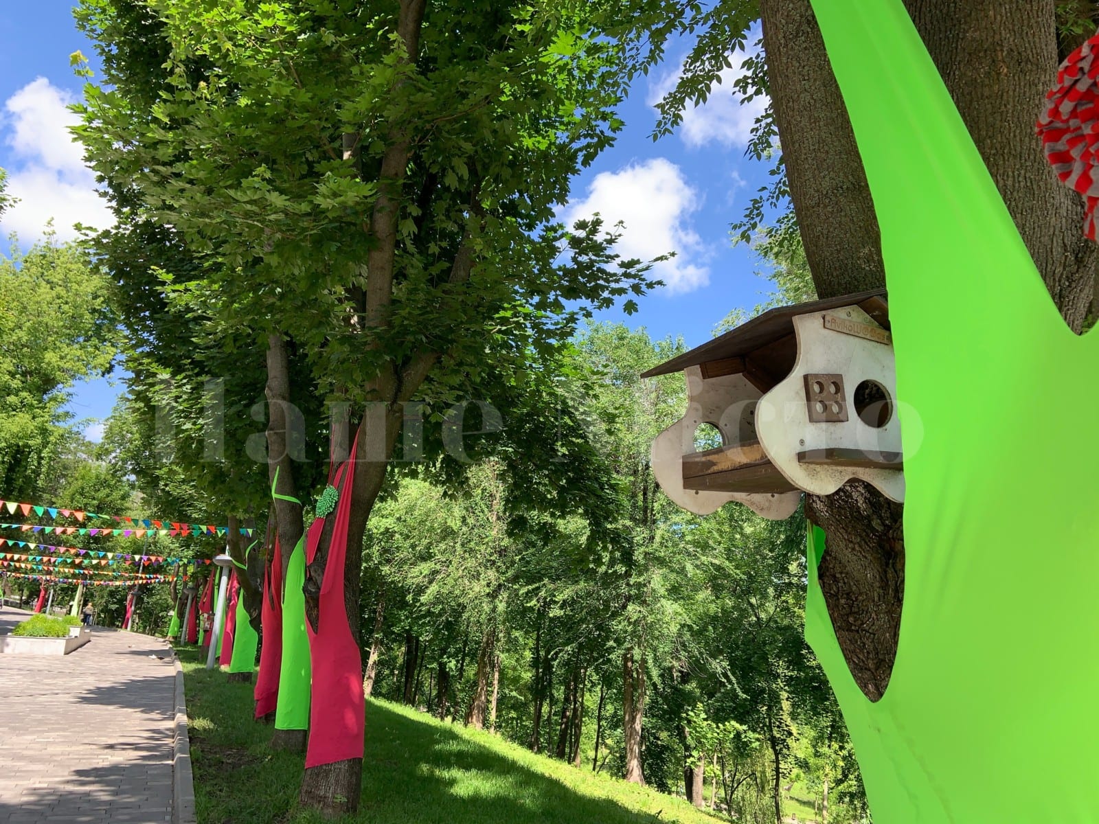 Детская веранда и новые аттракционы: парк «Зеленый гай» ярко начал летний сезон (Фото, видео)