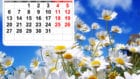 Выходные в июле 2020: будем работать больше, чем отдыхать