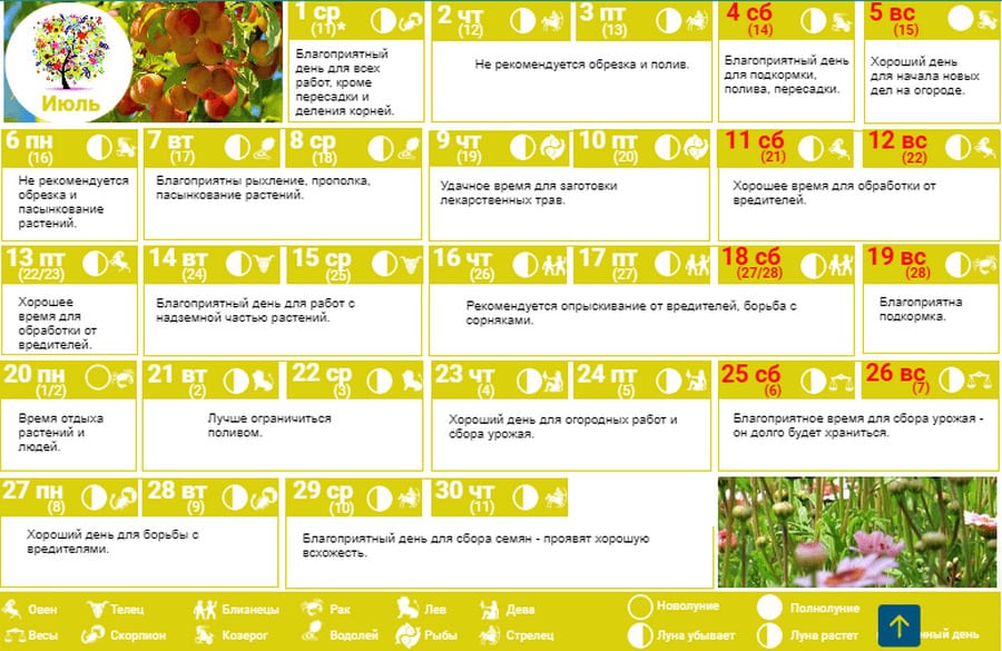 Лунный календарь огородника на июнь 24 года. Календарь огородника. Таблица для садовода огородника. Календарь огородника на июль. Садовый календарь работ в саду.