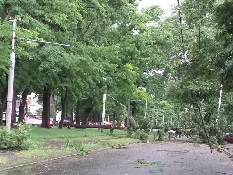 В Днепре выпала 1,5-месячная норма осадков. Новости Днепра