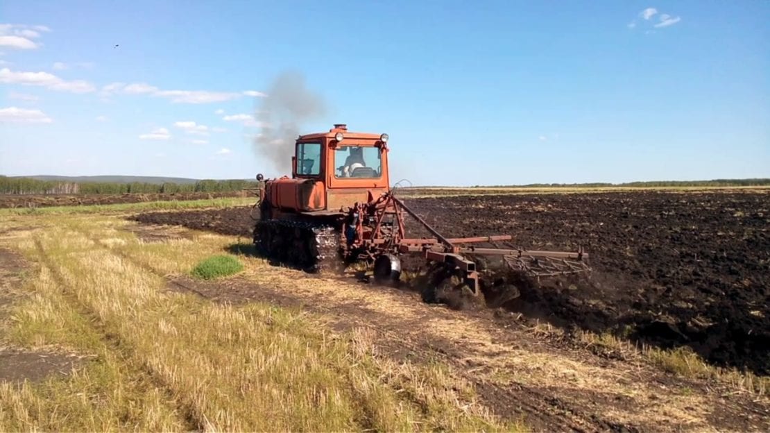 29 июня, Тихонов день: что нельзя делать, народные традиции и приметы