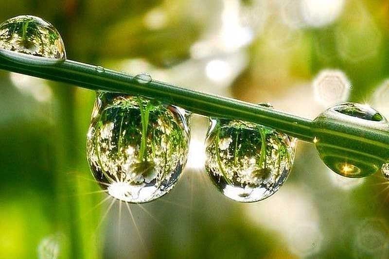 29 июня, Тихонов день: что нельзя делать, народные традиции и приметы