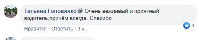 Удивил так удивил: в Днепре водитель маршрутки на Троицу устелил салон цветами (Фото)