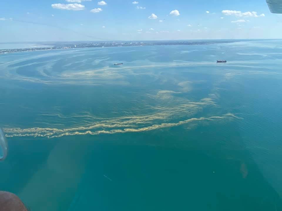 Черное море позеленело и стало опасным: в Одессе запрещают купаться