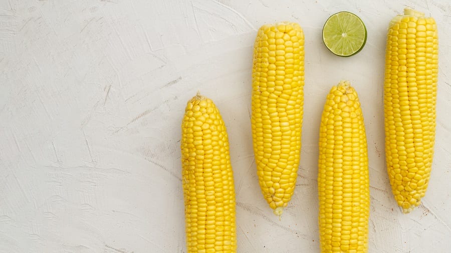 Кому нельзя есть вареную кукурузу: польза и вред любимого продукта
