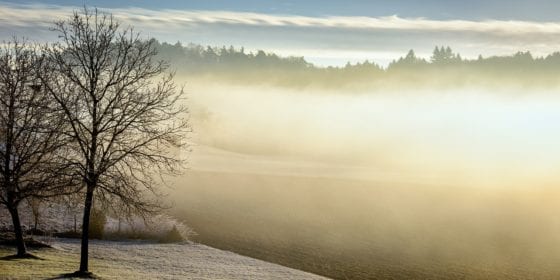 29 июля, Афиногеев день: что нельзя делать, народные традиции и приметы