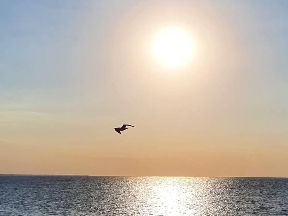 На Азовском море по утрам наблюдают настоящее чудо: рассвет сказочной красоты (Фото, видео)