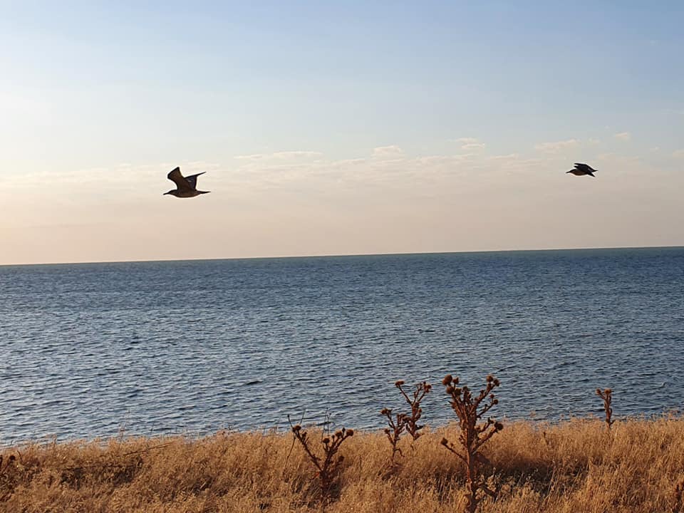 На Азовском море по утрам наблюдают настоящее чудо: рассвет сказочной красоты (Фото, видео)