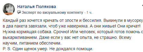 Под Днепром щенков выбросили в мусорку, завязав в два пакета