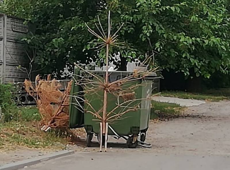 В Днепре выбросили символ Нового года в середине лета