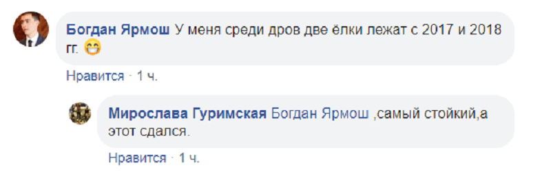 В Днепре выбросили символ Нового года в середине лета