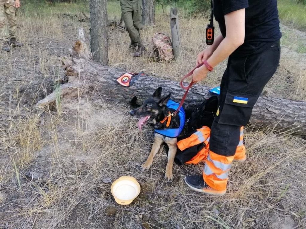 Под Днепром сотни человек сутки искали без вести пропавшего Артура