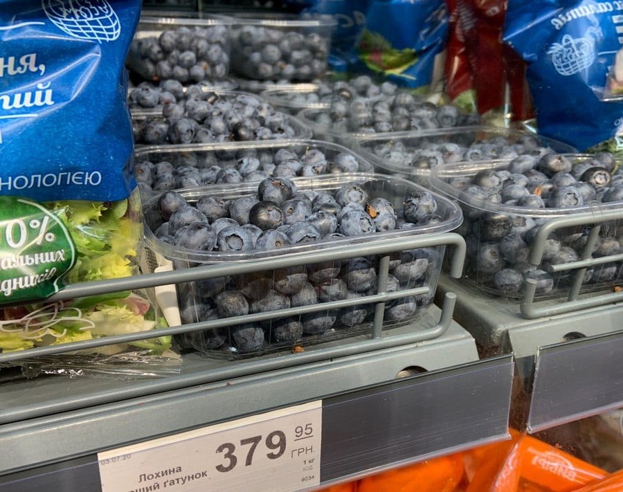 «Волшебные ягоды» за 400 грн: почему голубика дорого стоит