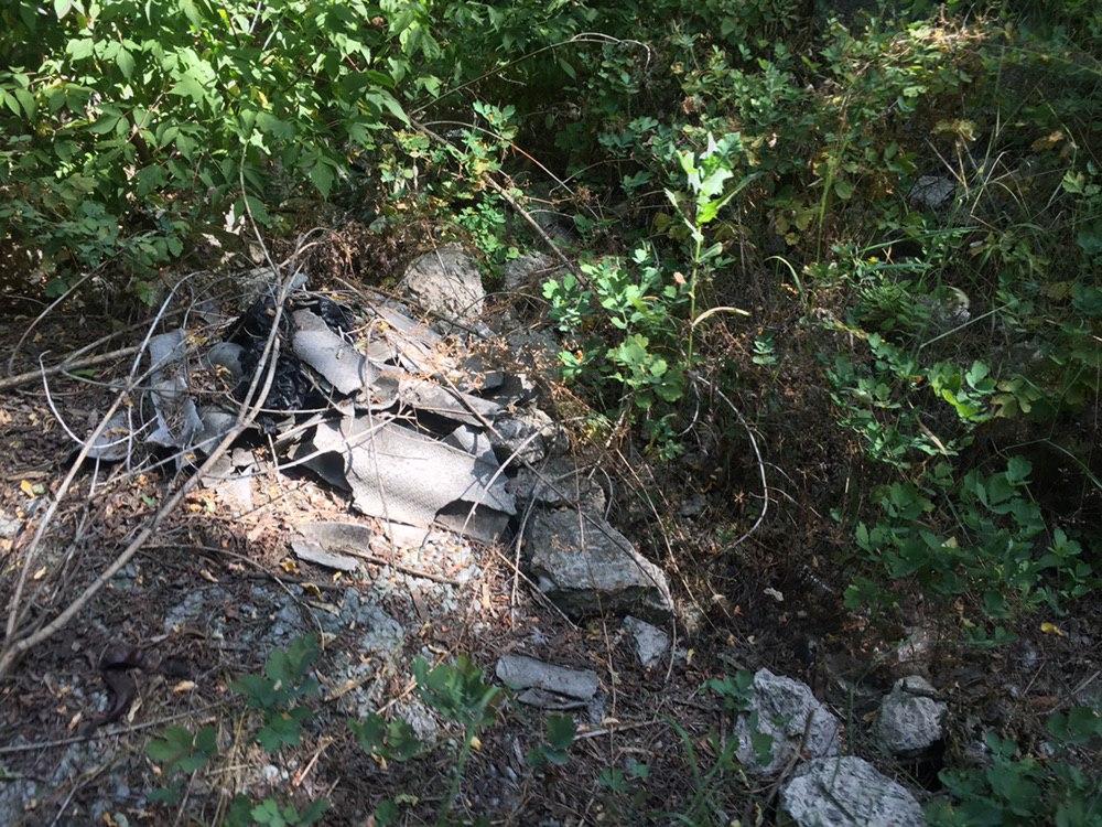 Под Днепром Обуховский лес утопает в стихийных свалках