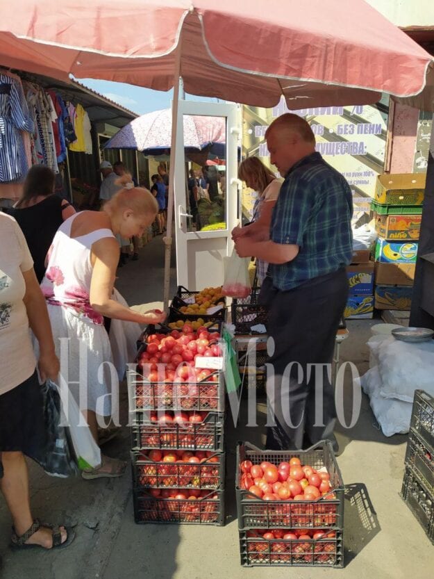 Цены на помидоры в Днепре взлетели до небес: причины и перспективы (Фото)