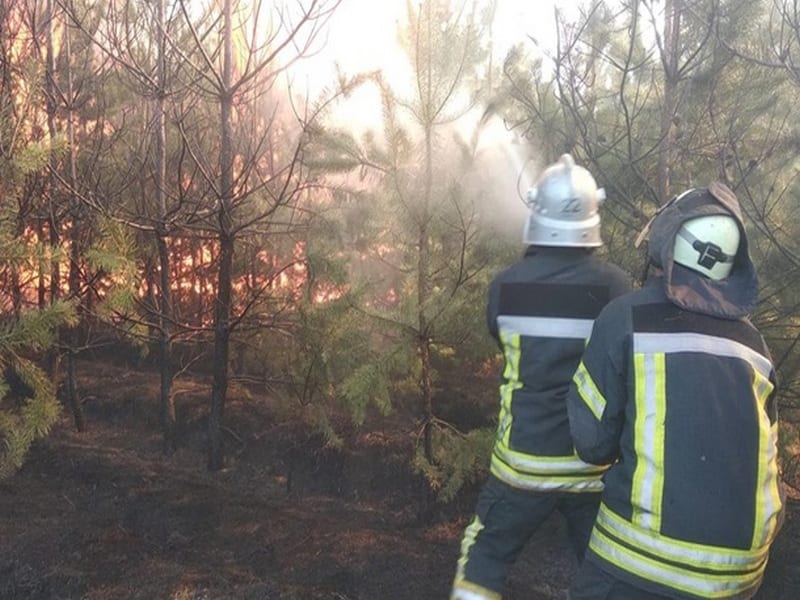 На пожарах в Луганской области погибло 5 человек