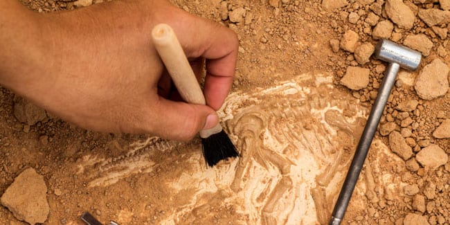 15 августа, День археолога: история, традиции и значение праздника