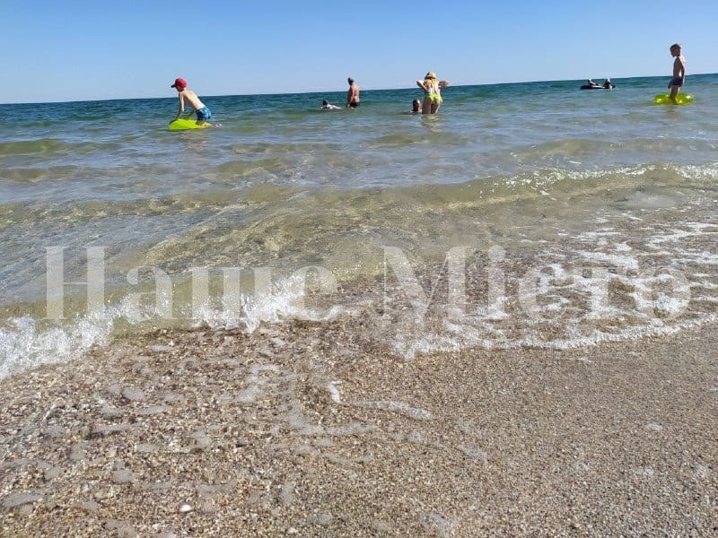 Когда в Азовском море не будет медуз: ученые назвали условия