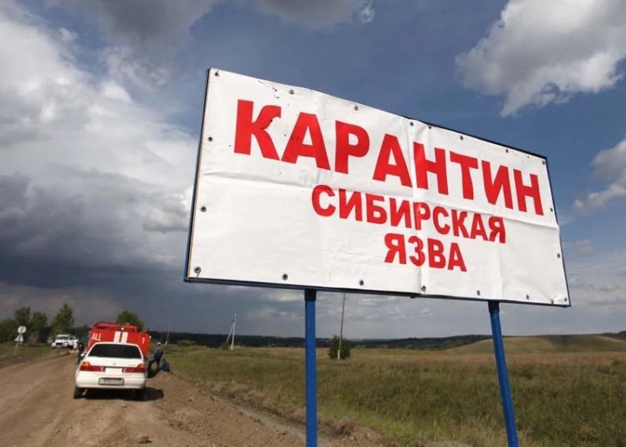 В Украине выявлен случай заболевания сибирской язвой