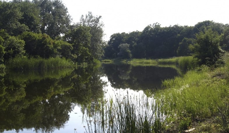 Орловщина. Орловщина Днепропетровская область. Село Орловщина Днепропетровская область. Орловщина Днепропетровская область лес. Станция Орловщина Днепропетровская область.