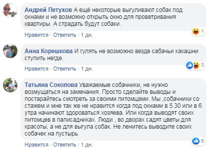 В Днепре собаки обгрызают молодые деревья на набережной