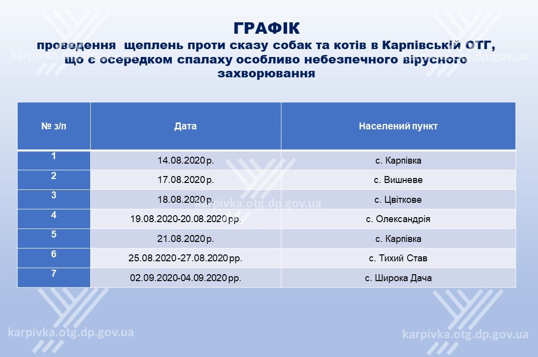 Вспышка бешенства в Днепропетровской области: объявлен карантин