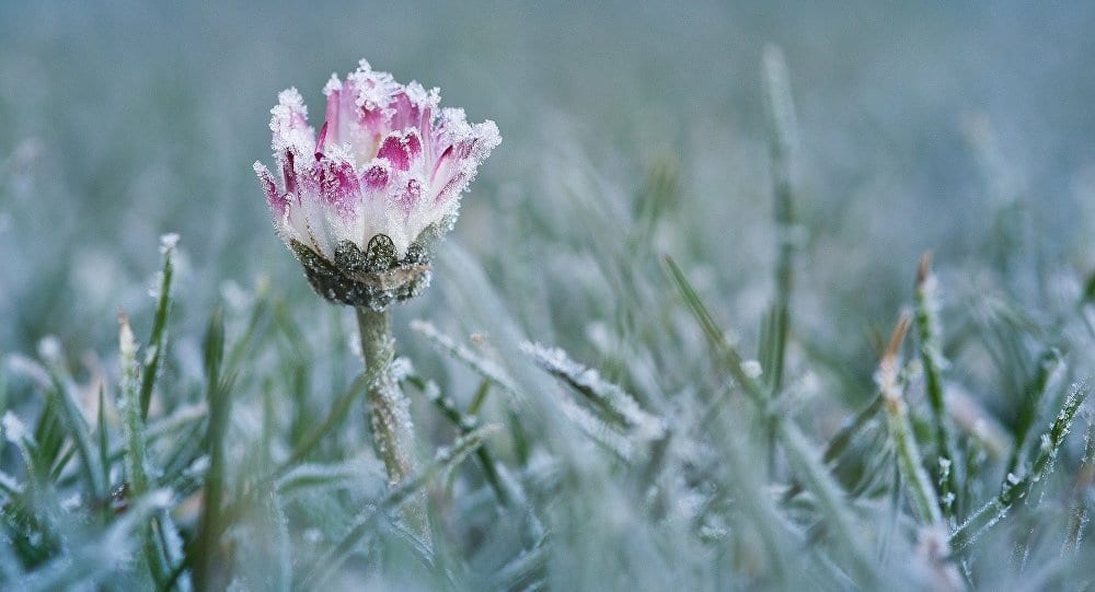 5 сентября, Луп-Брусничник: что нельзя делать, народные традиции и приметы