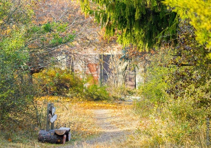 Дендропарк на острове Хортица: невероятно красиво в любое время года (Фото)