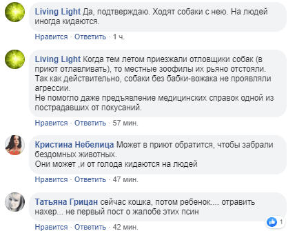 Стая собак держит в страхе целый микрорайон. Новости Днепра