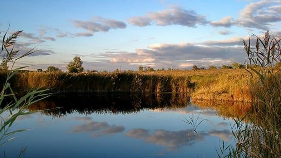 Живописные уголки: ТОП-3 рыбных места Днепропетровской области