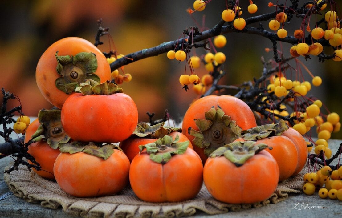 Осенний чудо-фрукт: польза хурмы или королька