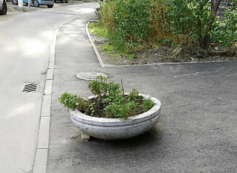 В Днепре активистка борется с автохамами. Новости Днепра