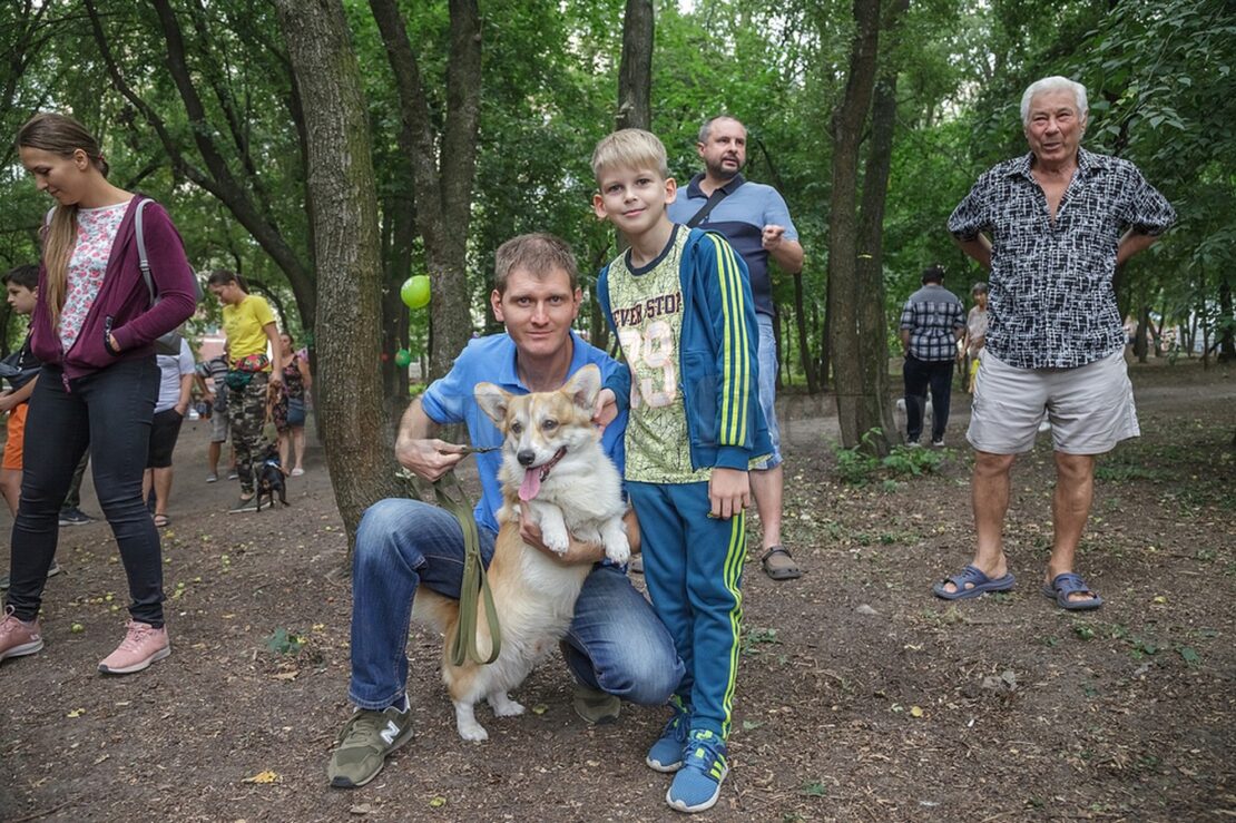 На Соколе появилась площадка для выгула собак. Новости Днепра