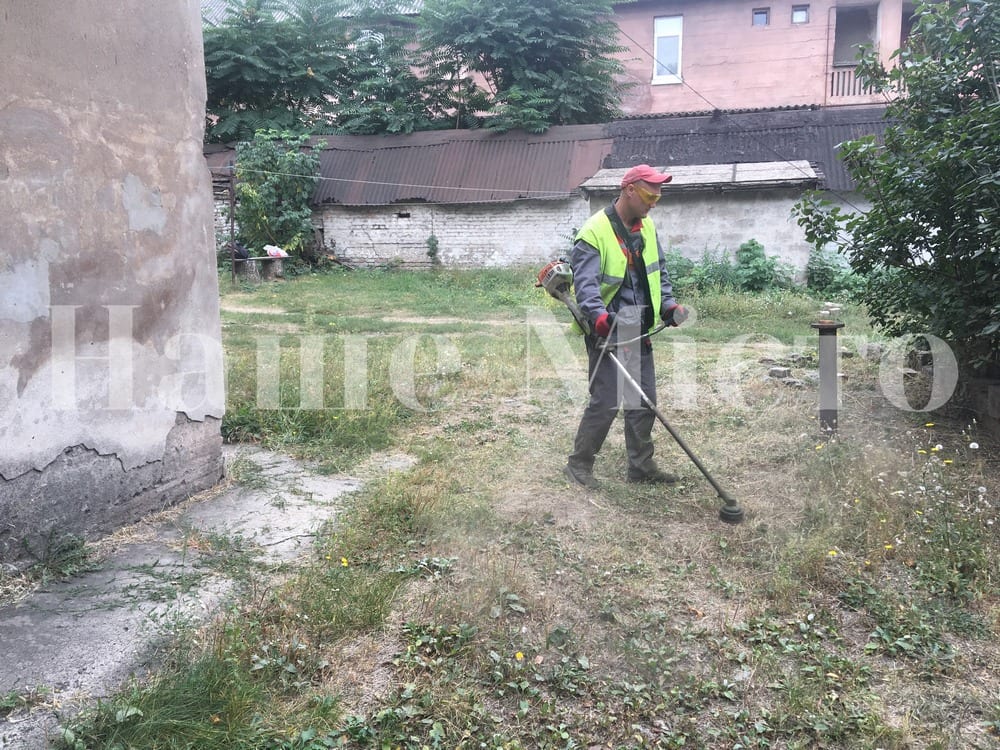 В Днепре активно борются с карантинными растениями