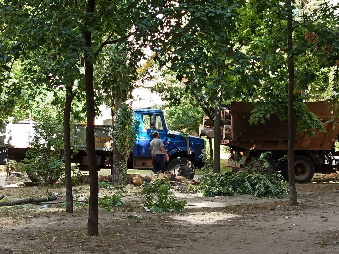 Светлые и безопасные улицы: в АНД районе Днепра коммунальщики монтируют освещение и удаляют аварийные деревья