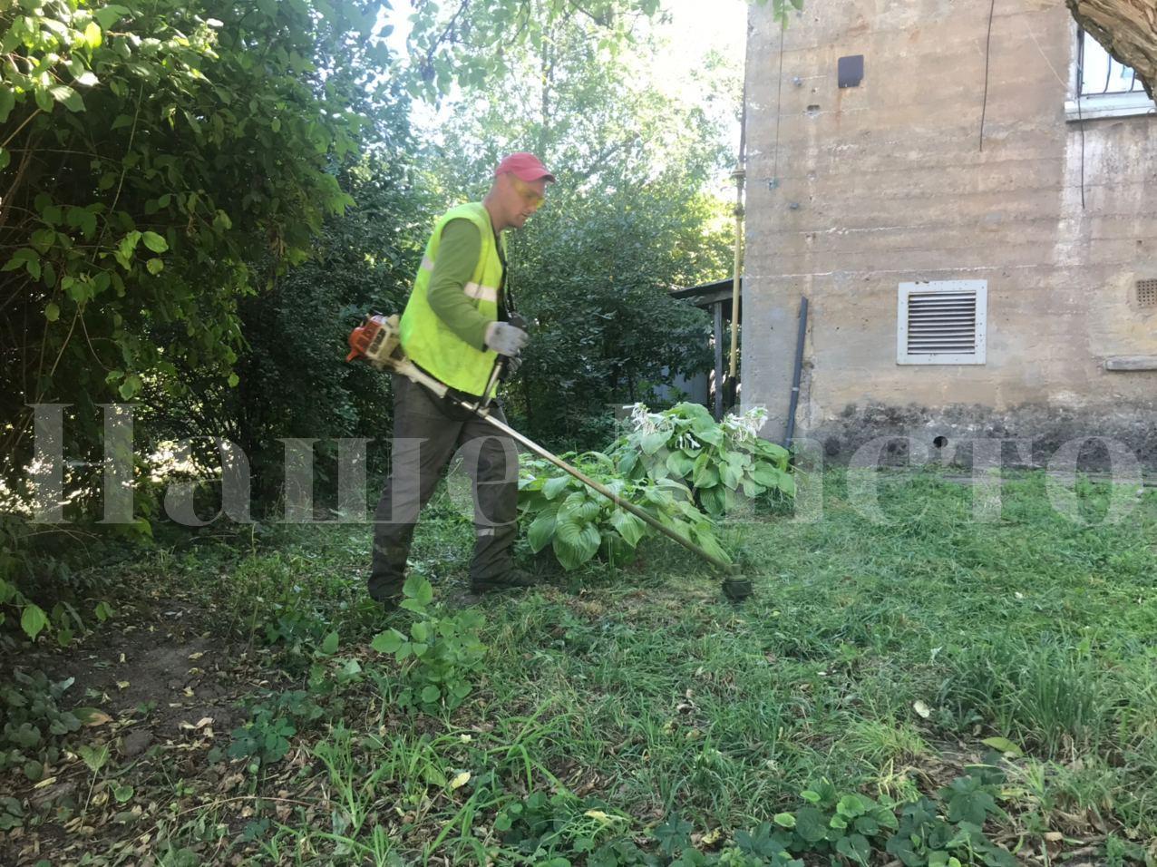 В Новокодакском районе Днепра коммунальщики избавились от опасных аллергенных растений